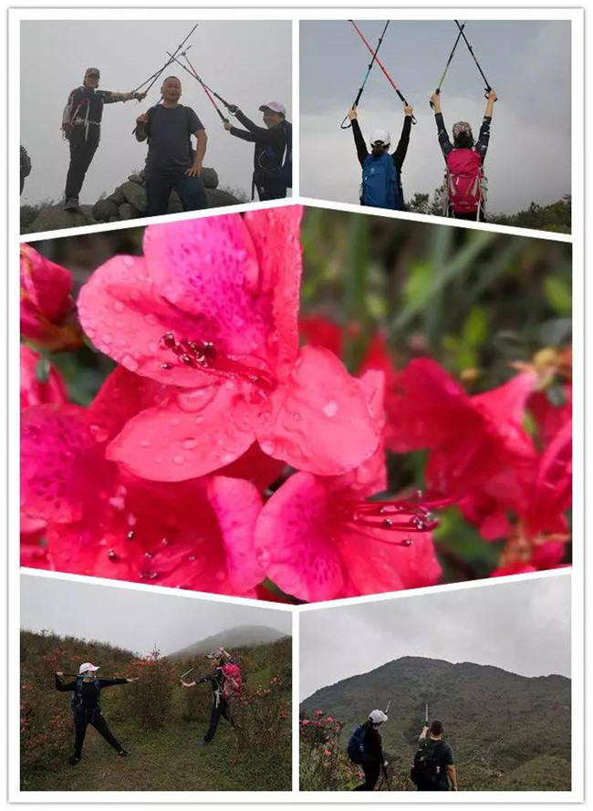 3月29日，云浮新興縣登天麓山&賞杜鵑花